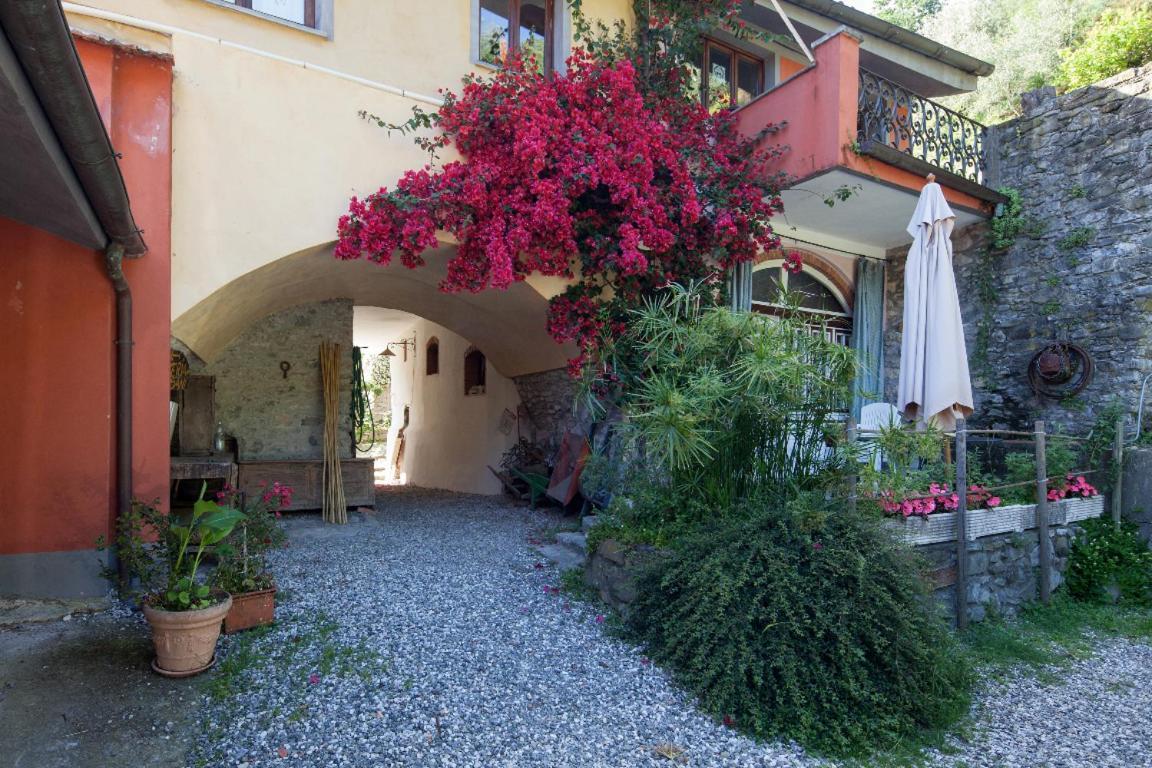 Villa Il Borgo Della Colomba Fosdinovo Exterior foto